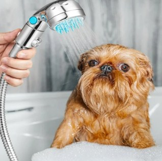 Wiggle Wash | Small Dog (Basic Grooming Without Haircut/Shave)