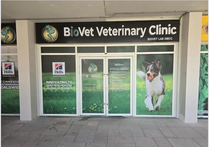 Biovet Lab Clinic